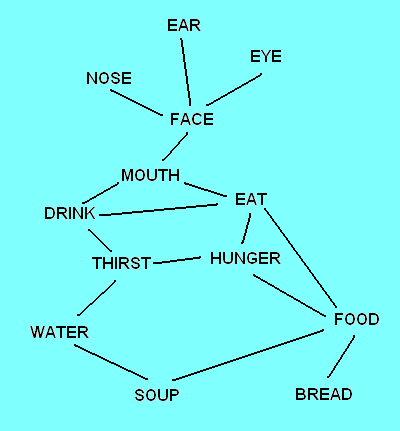 A semantic network